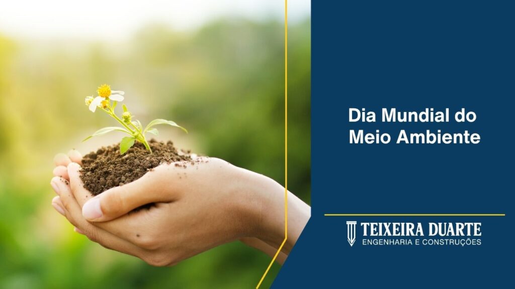 Dia mundial do meio Ambiente com a Teixeira Duarte